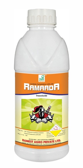 Ramest-Ramaada